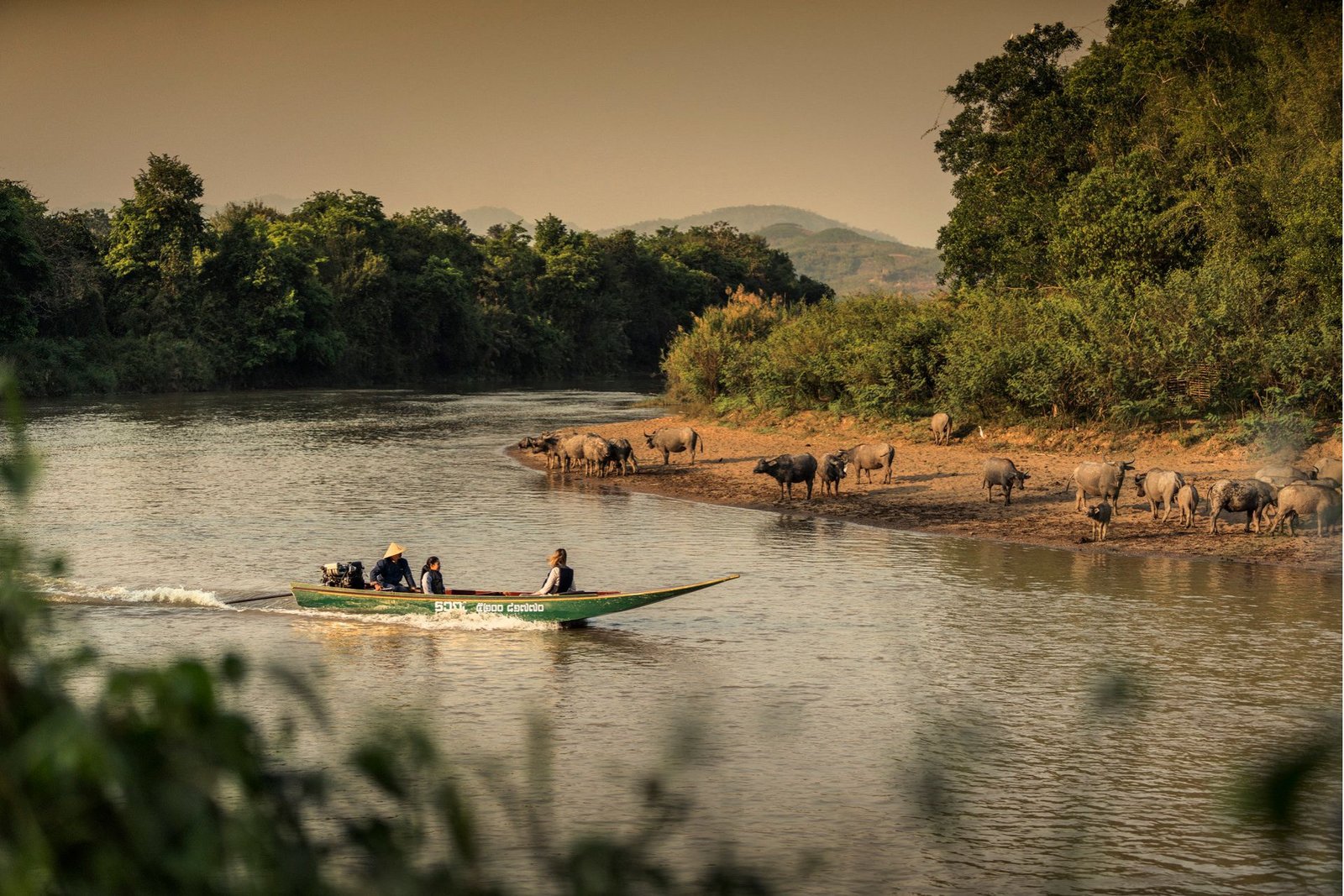 Into the Golden Triangle: A Jungle Camp Where Adventure Meets Stillness