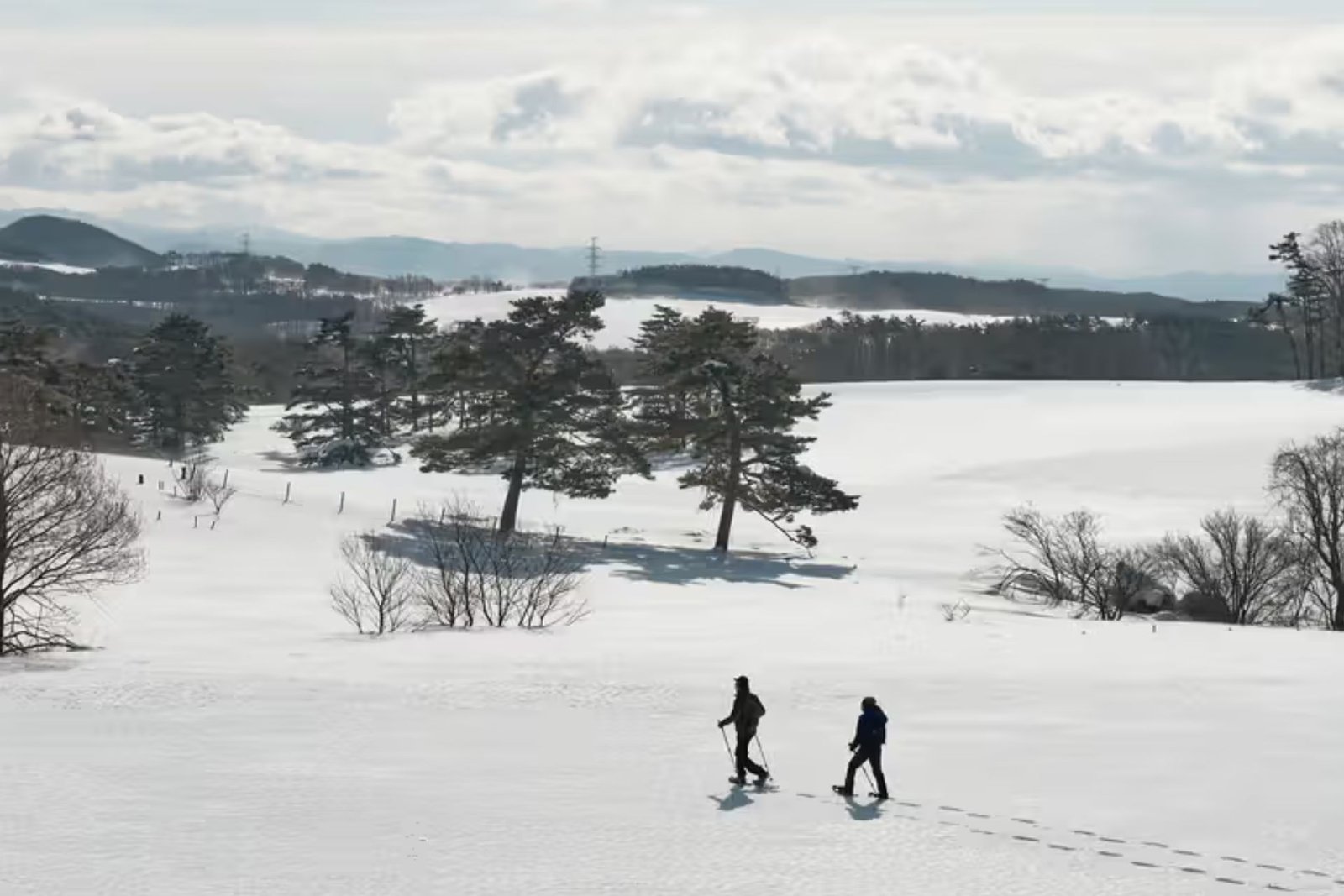 Adrian Zecha Launches Azuma Farm Koiwai in Japan