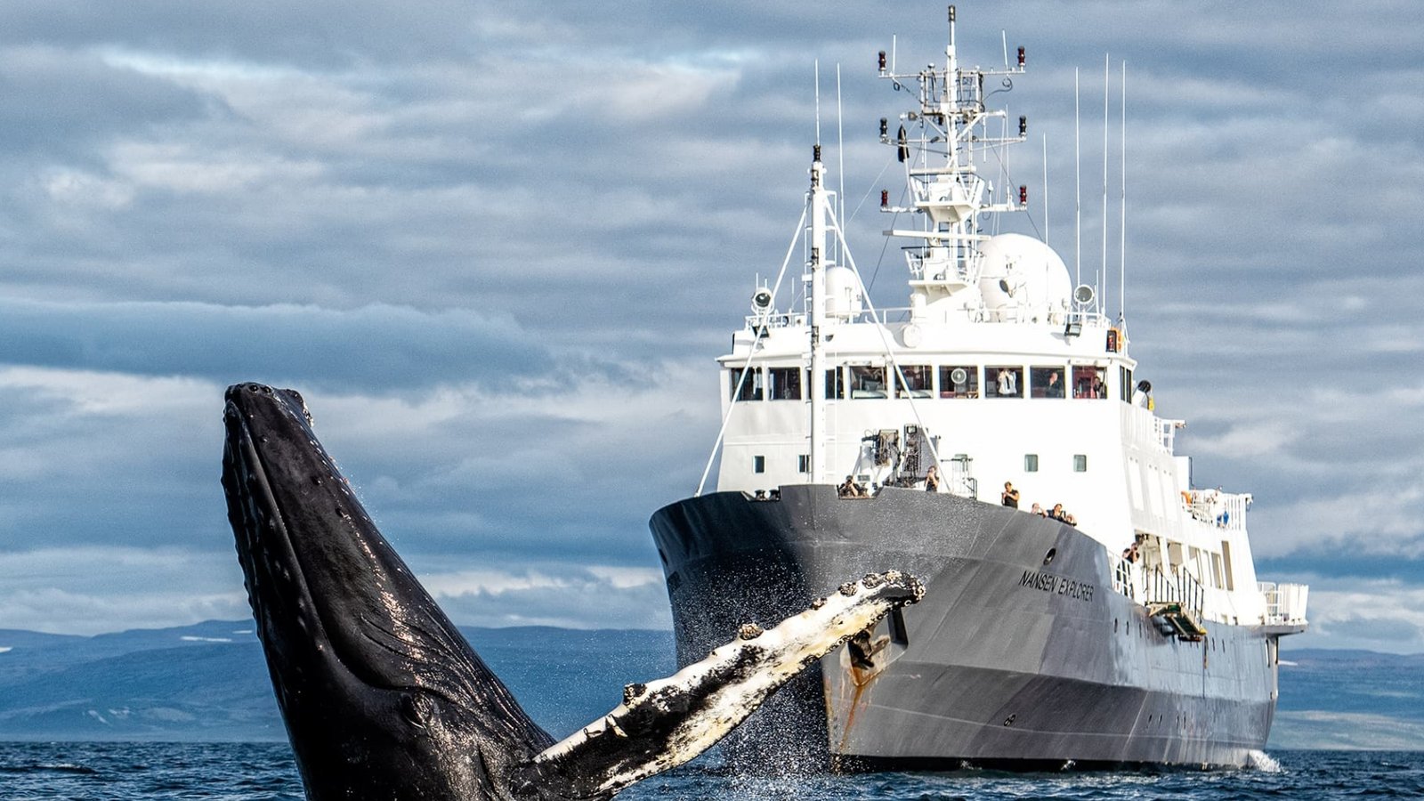 The Arctic’s Quietest Season Is Becoming Its Greatest Luxury