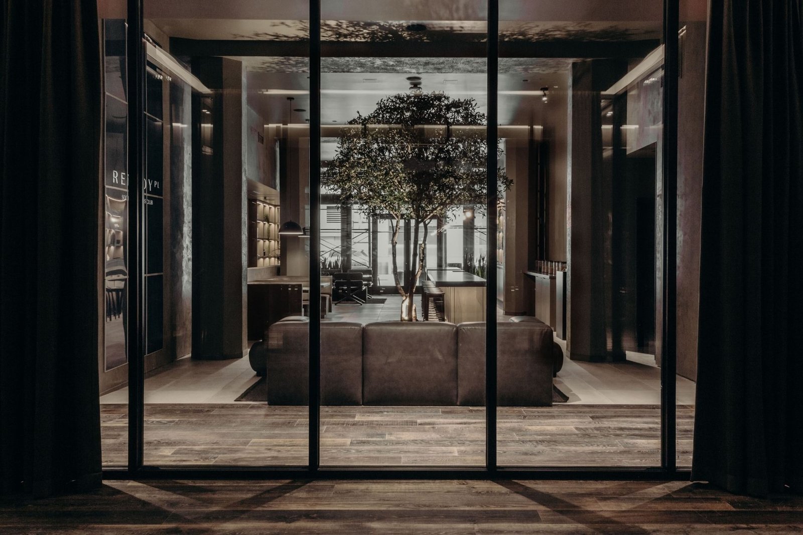 Remedy Place seen through its storefront glass, with a uplit olive tree, leather lounge sofa and bar