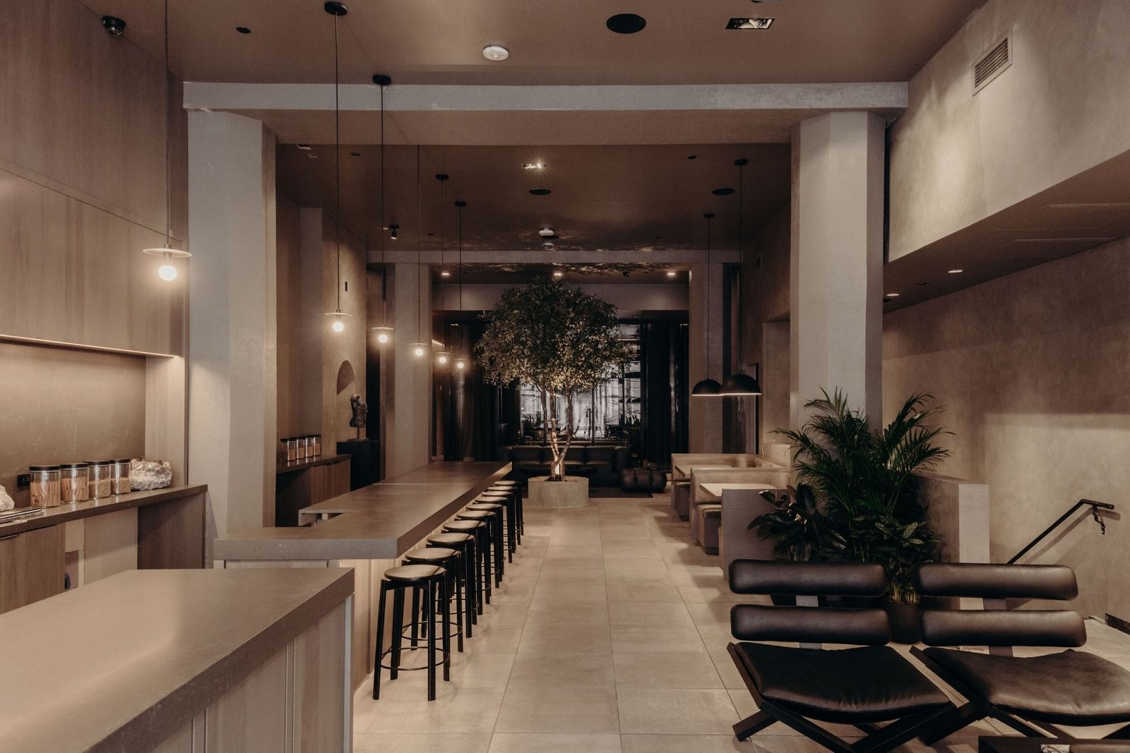 Remedy Place lounge and bar with apothecary jars, sculptural chairs and a central olive tree in warm light